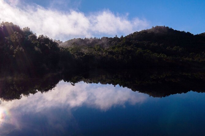 Morning World Heritage Cruise on the Gordon River from Strahan - Lunch on board while the Gordon River slows the day