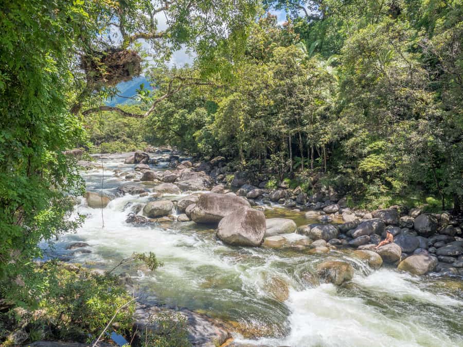 Mossman Gorge: Day Tour with River Drift Experience - A Mossman Gorge day with more than a lookout stop