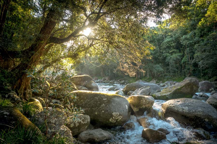 Mossman Gorge: Day Tour with River Drift Experience - The river walk and gentle drift