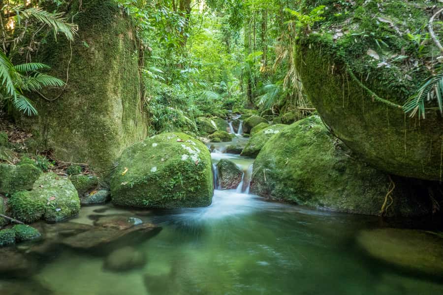 Mossman Gorge: Day Tour with River Drift Experience - The Kuku Yalanji smoking ceremony