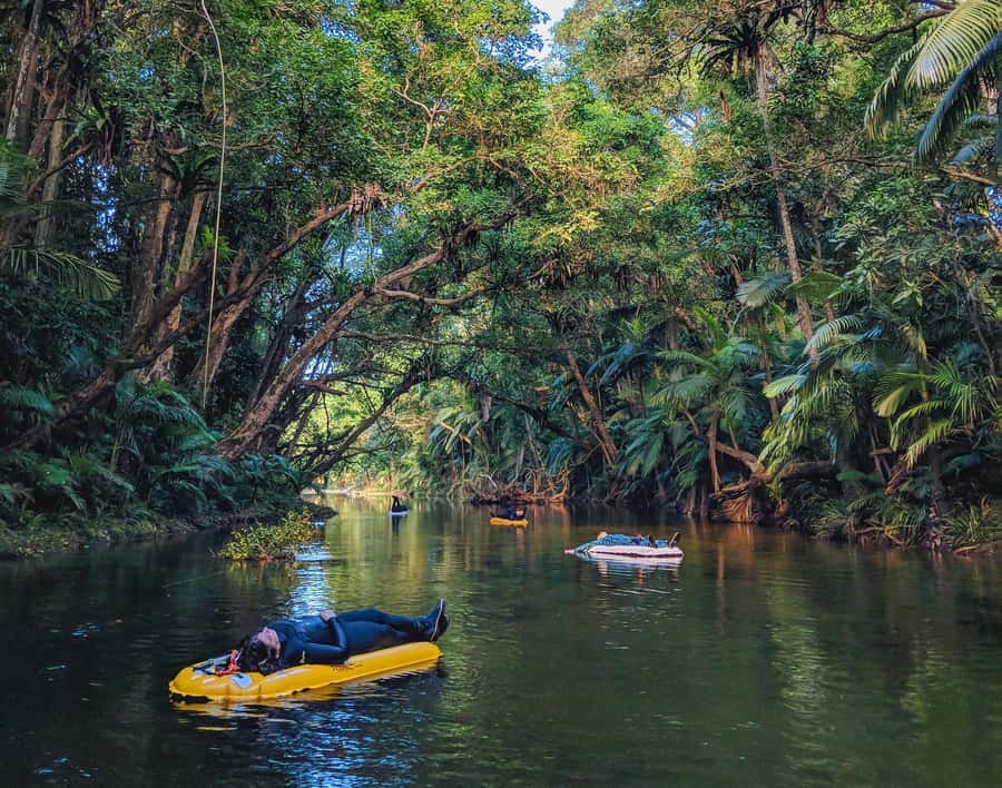 Mossman Gorge: Day Tour with River Drift Experience - The 1.5-hour Mossman Gorge walk