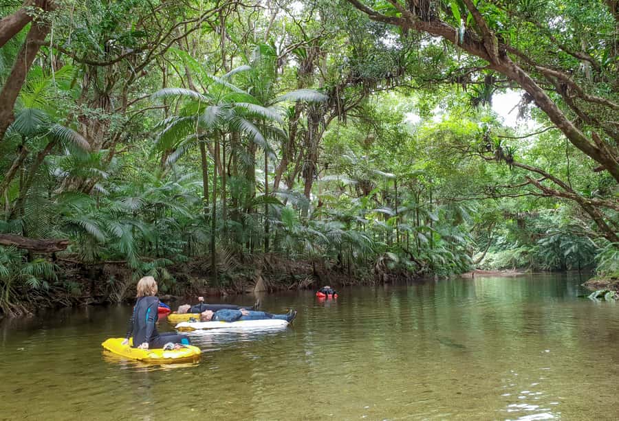 Mossman Gorge: Day Tour with River Drift Experience - What the $191 price includes