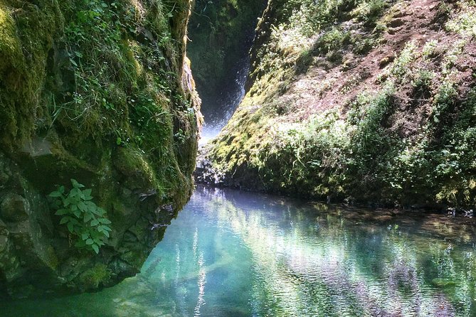 Multnomah Falls and Columbia River Gorge Half-Day Hiking Tour - Multnomah Falls gives you the classic Oregon moment