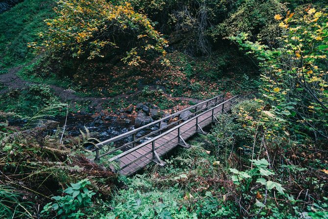 Multnomah Falls and Columbia River Gorge Waterfalls Tour Morning - What the guide adds to the ride