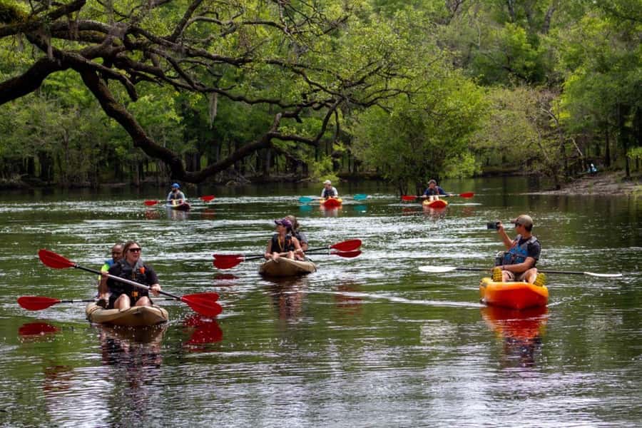 Myrtle Beach: Waccamaw River Kayak Island Tour - Key points to know