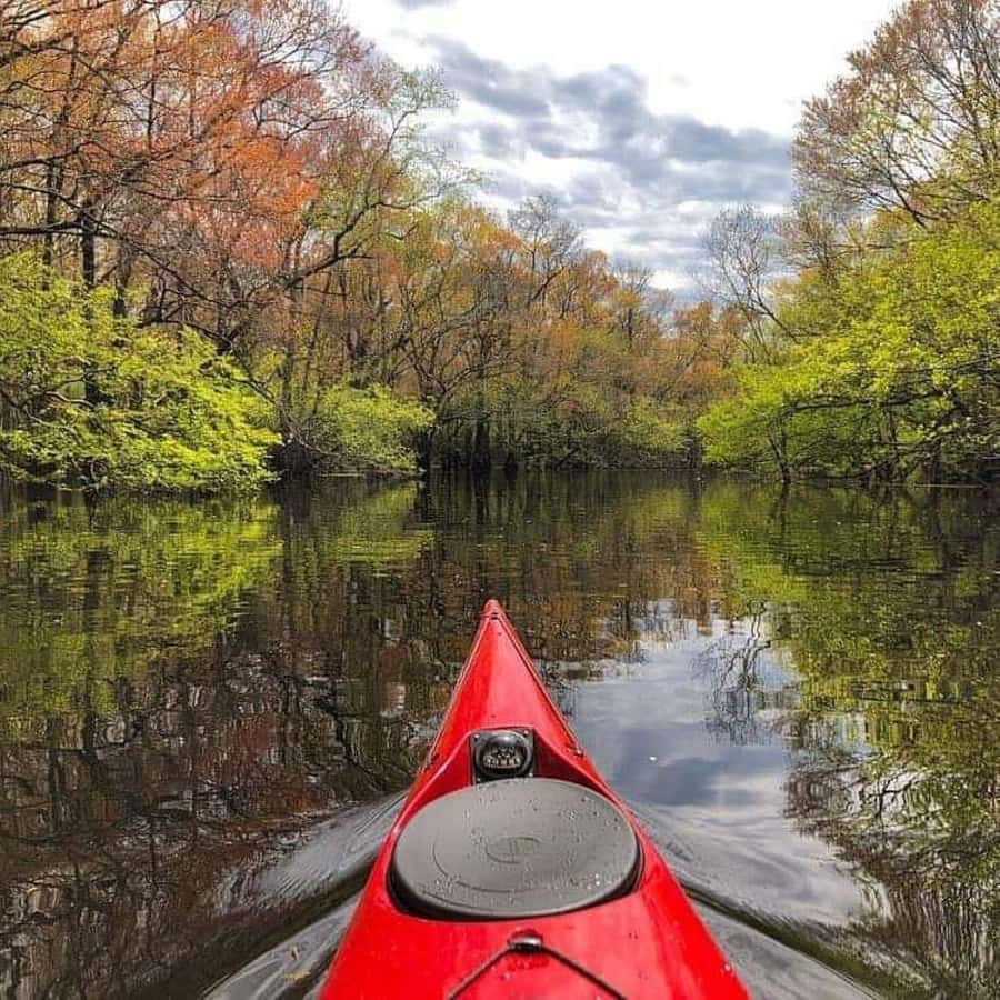 Myrtle Beach: Waccamaw River Kayak Island Tour - A quiet river alternative to Myrtle Beach