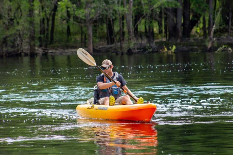 Myrtle Beach: Waccamaw River Kayak Island Tour - Paddling the Waccamaw River