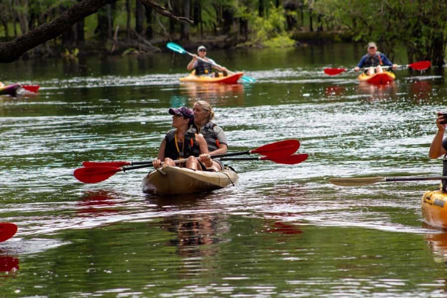 Myrtle Beach: Waccamaw River Kayak Island Tour - Meeting at River Island Outpost