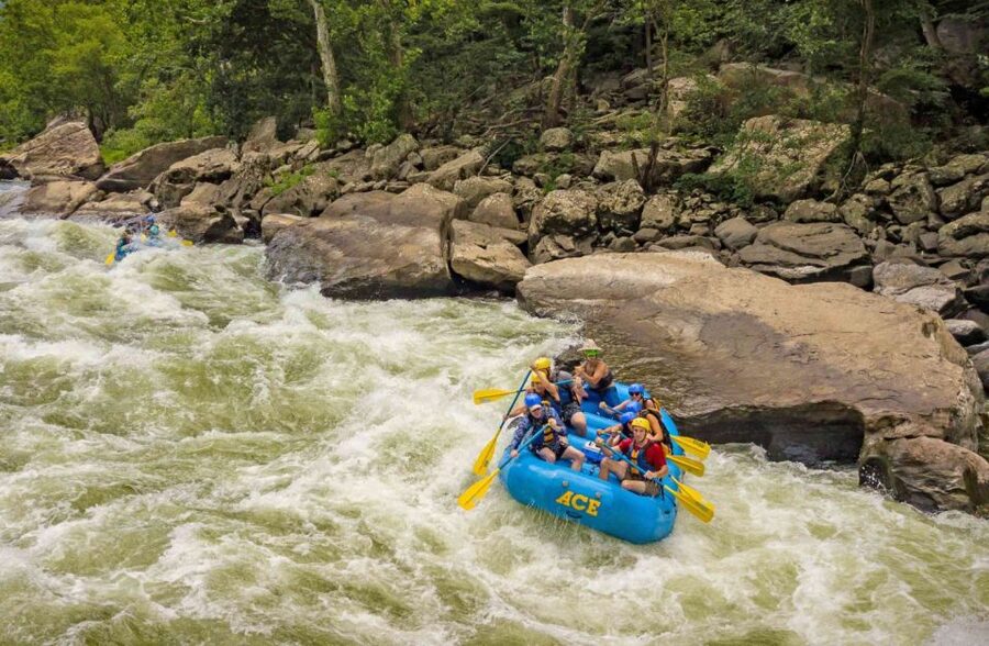 New River Gorge Whitewater Rafting - Lower New Half Day - What the Class III to IV+ rapids feel like