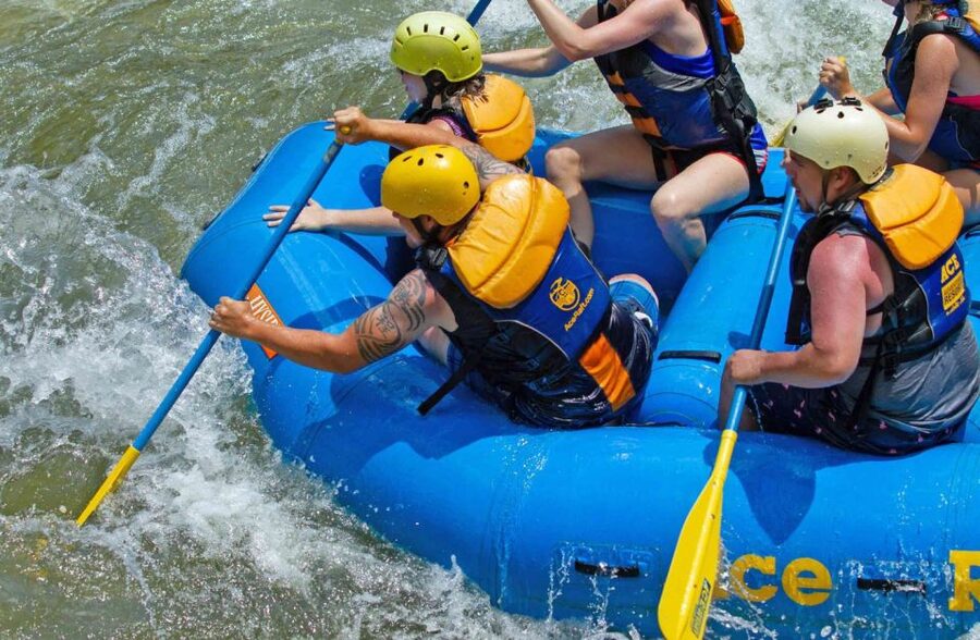 New River Gorge Whitewater Rafting - Lower New Half Day - The four-hour route, from check-in to takeout