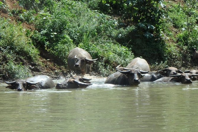 No.1 Chiang Mai: Leisure River Kayaking: Mae Taeng forest Reserve - Practical Details That Matter