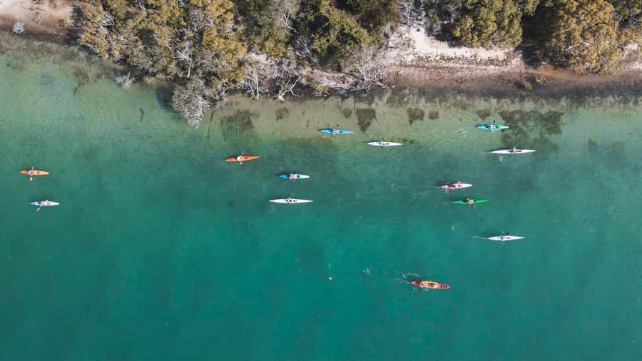 Noosa River: Mangroves and Mansions Guided Kayak Tour - Key points to know