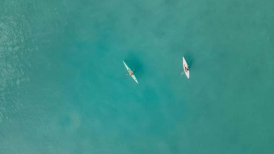 Noosa River: Mangroves and Mansions Guided Kayak Tour - A gentle way to meet the Noosa River