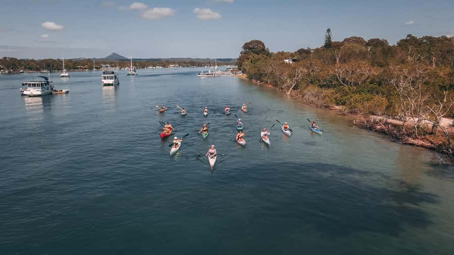 Noosa River: Mangroves and Mansions Guided Kayak Tour - Through the mangroves near the river mouth