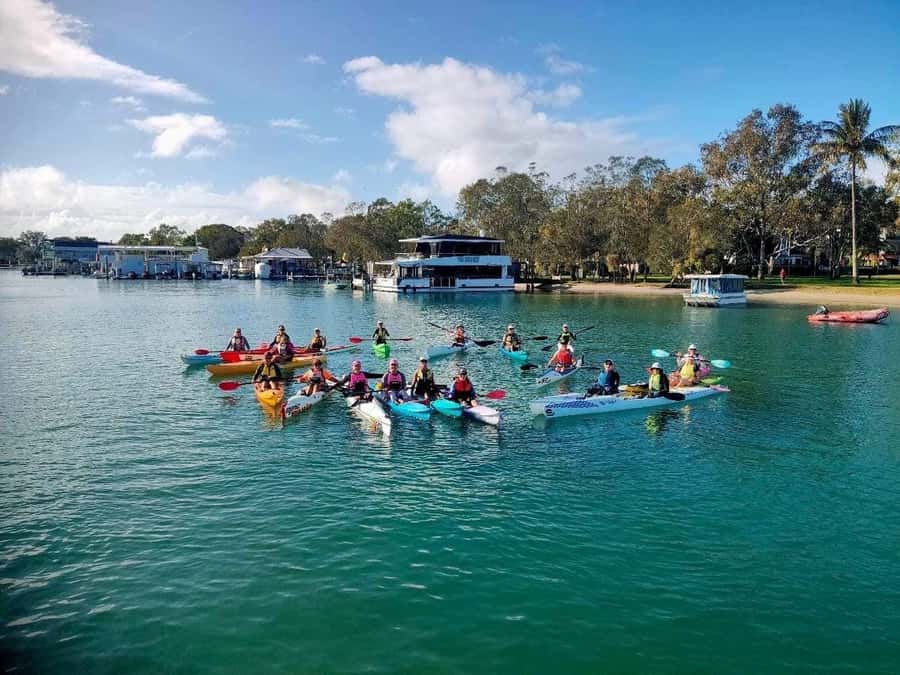 Noosa River: Mangroves and Mansions Guided Kayak Tour - Is $59 good value for two hours?