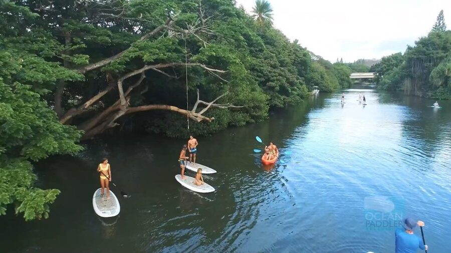 Oahu: North Shore Haleiwa Paddleboard River Adventure - What to bring for a more comfortable outing
