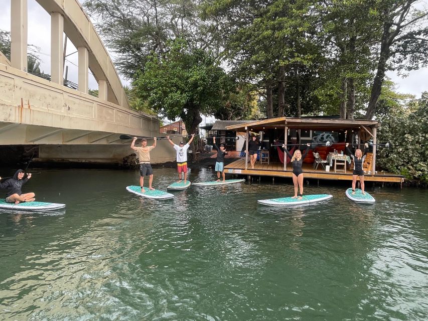 Oahu: North Shore Haleiwa Paddleboard River Adventure - Looking for honu among mangroves and springs