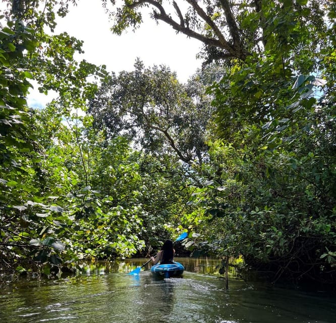 Oahu: Single & Double Kayak 3-Hour River Rental - Key points at a glance