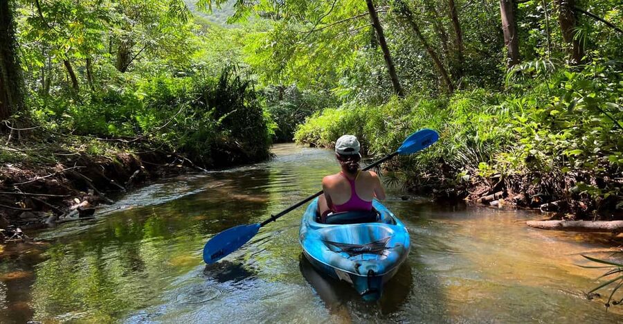 Oahu: Single & Double Kayak 3-Hour River Rental - Who gets the best value for $75