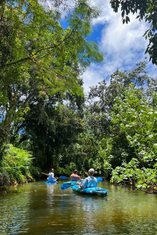 Oahu: Single & Double Kayak 3-Hour River Rental - Booking details worth checking