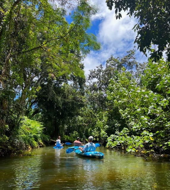 Oahu: Single & Double Kayak 3-Hour River Rental - Choosing between the single and double kayak