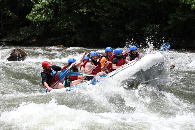 Ocoee River Middle Whitewater Rafting Trip (Most Popular Tour) - Five miles and 17 major rapids
