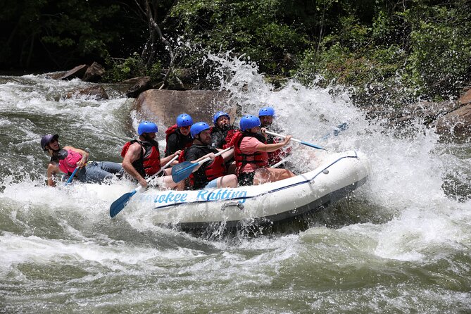 Ocoee River Middle Whitewater Rafting Trip (Most Popular Tour) - Who should book this Ocoee trip