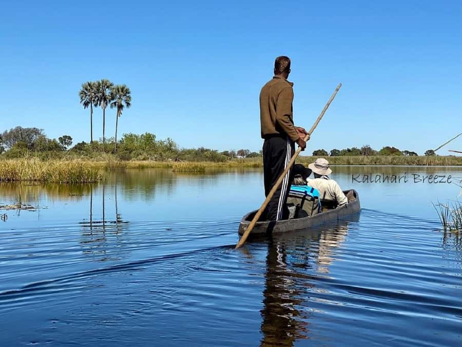 Okavango Delta: Full-Day Mokoro/Canoe Tour All-Inclusive - Leaving Maun by 7:30 AM