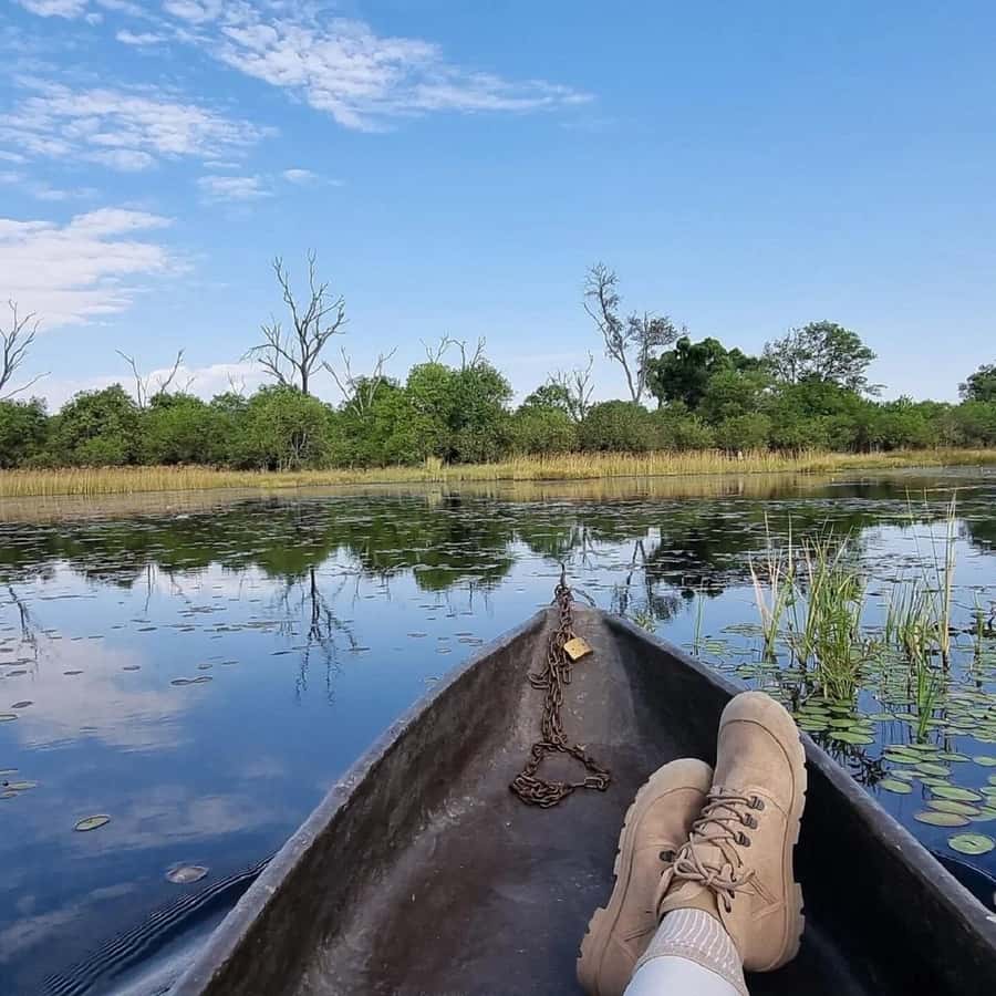 Okavango Delta: Full-Day Mokoro/Canoe Tour All-Inclusive - What Wildlife You Might See