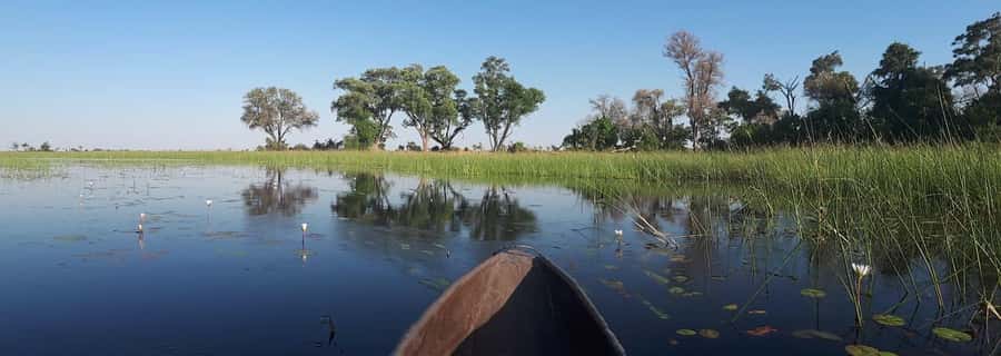 Okavango Delta: Full-Day Mokoro/Canoe Tour All-Inclusive - What the $171 Price Covers