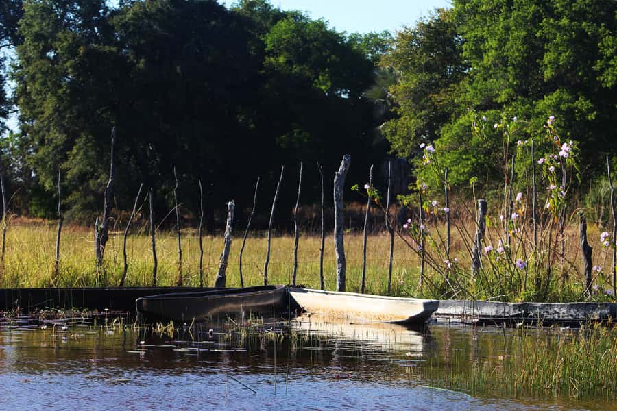 Okavango Delta: Mokoro Day Tour - Key points to know before booking
