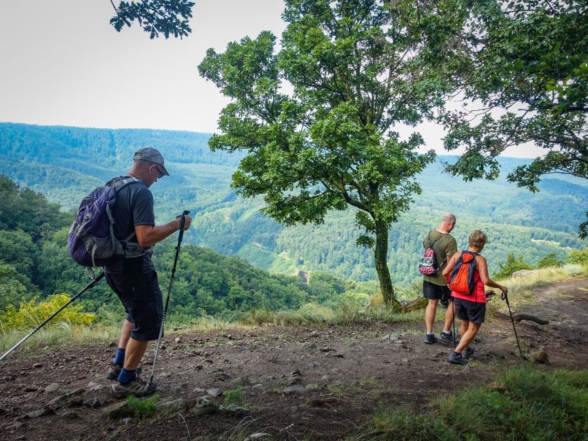 One Day Wonder Hike - The Essence of the Danube Bend - From Budapest to Dömös by comfortable van