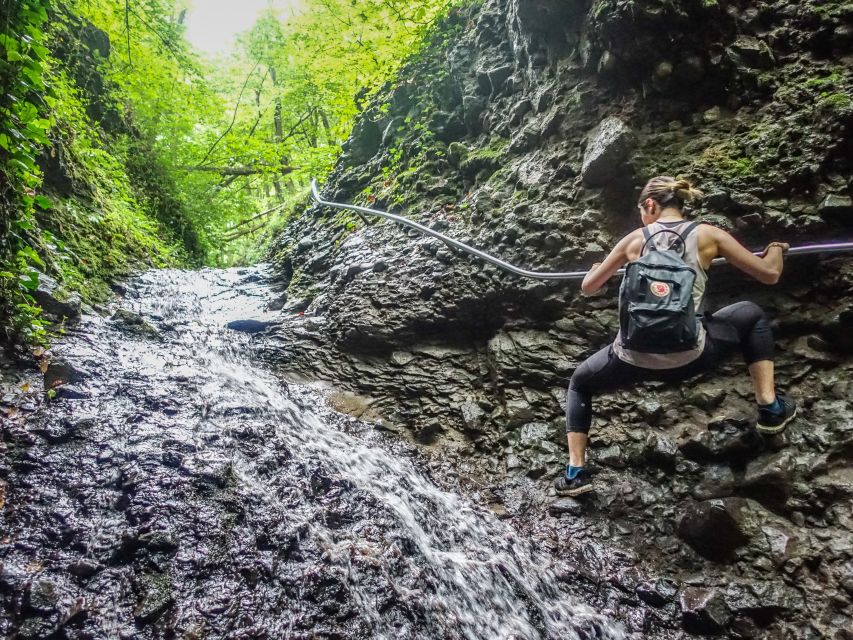 One Day Wonder Hike - The Essence of the Danube Bend - The guide can make or break the day