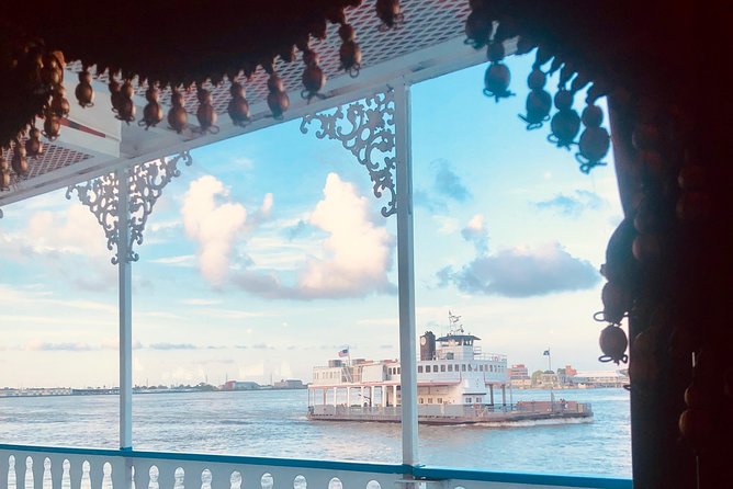 Paddlewheeler Creole Queen Historic Mississippi River Cruise - What you see from the river