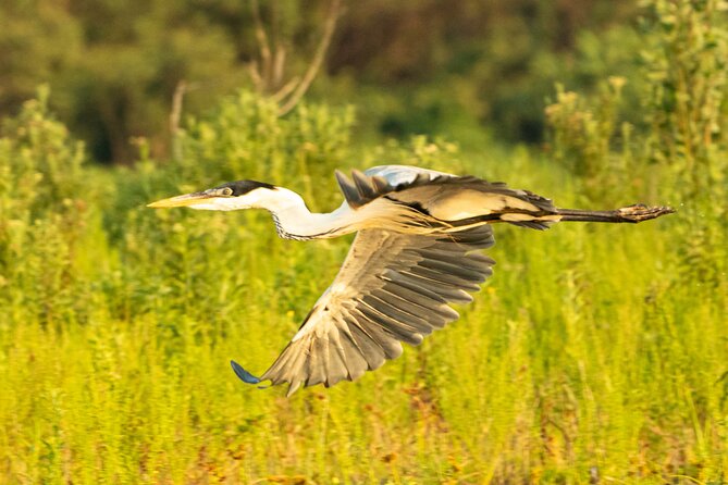 Paraguay River Nature and Wildlife Boat Tour from Asunción - What happens at the river launch