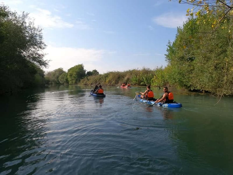 Parga: Acheron River Kayaking Adventure 5.5 km - Wildlife watching without leaving your kayak