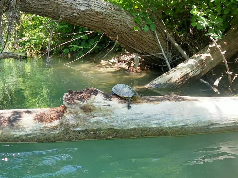 Parga: Kayaking Adventure in the Acheron River 13 km - Key points to know before you book