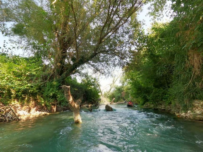 Parga: Kayaking Adventure in the Acheron River 13 km - Watch the banks for turtles, beavers, and birds
