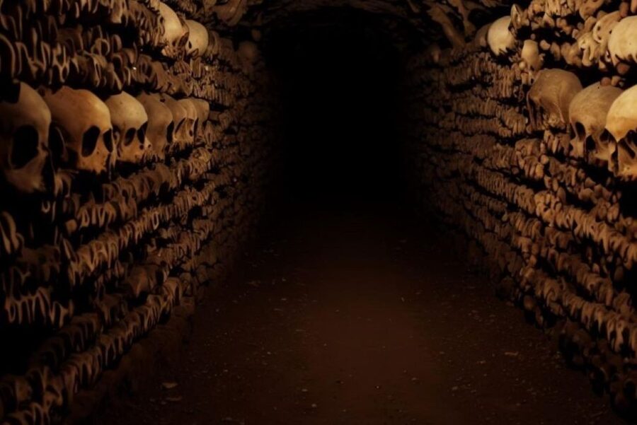 Paris: Catacombs, Audio Guide, and River Cruise Option - Adding the one-hour Seine River cruise