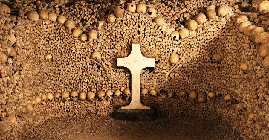 Paris: Catacombs Entry & Seine River Cruise with Audio Guide - The Real Question: Is $135 a Fair Price?