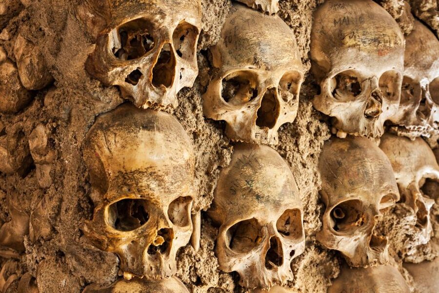 Paris: Catacombs Ticket and Seine River Cruise - The Seine cruise from Eiffel Tower to Notre Dame