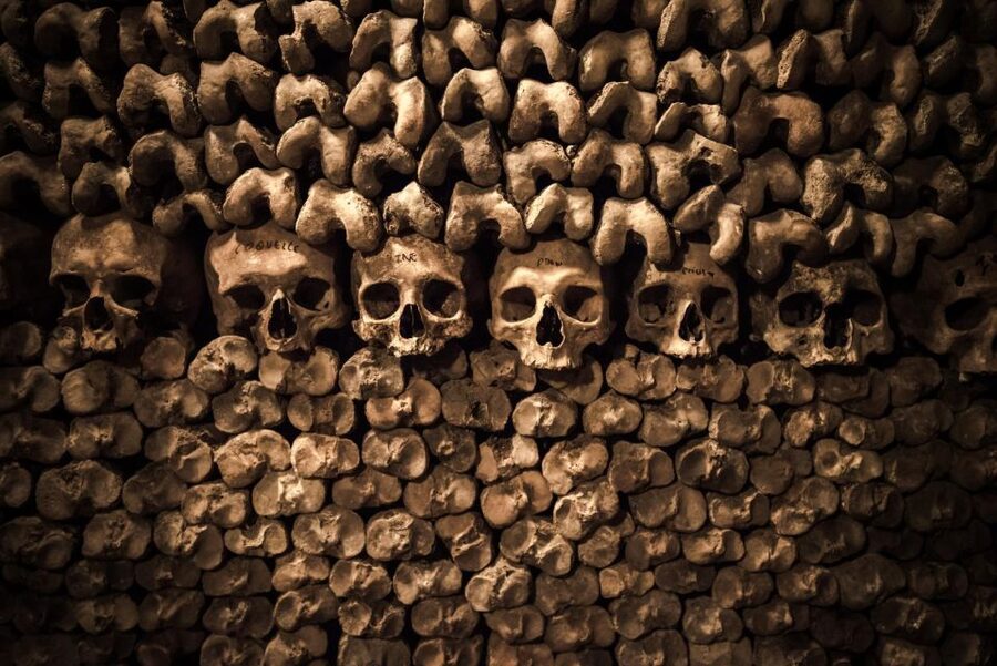 Paris: Catacombs Ticket and Seine River Cruise - Should you book the Catacombs and Seine cruise?