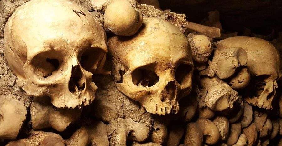 Paris: Catacombs Ticket and Seine River Cruise - Why the Catacombs are worth your time