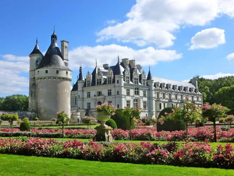 Paris: Loire Valley Castles Tour with Wine Tasting - Wine caves and Loire Valley bottles