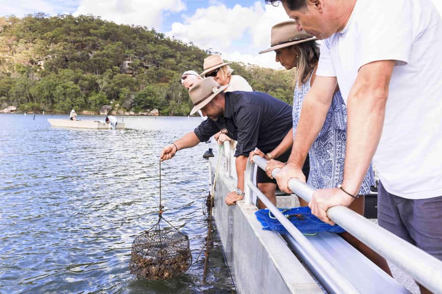 Pearl & Oyster Farm Hawkesbury River Cruise - Key points to know before you go