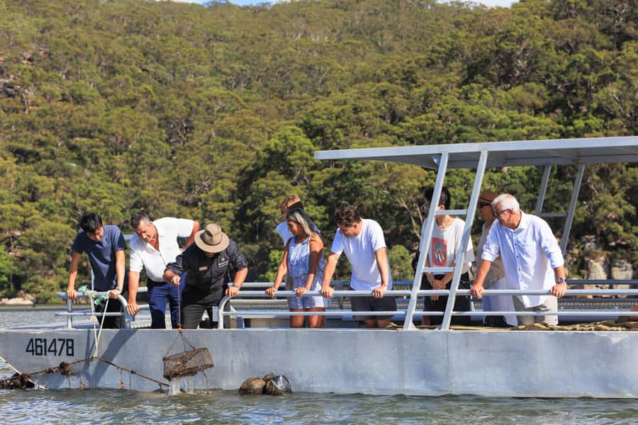 Pearl & Oyster Farm Hawkesbury River Cruise - A river cruise with an oyster story