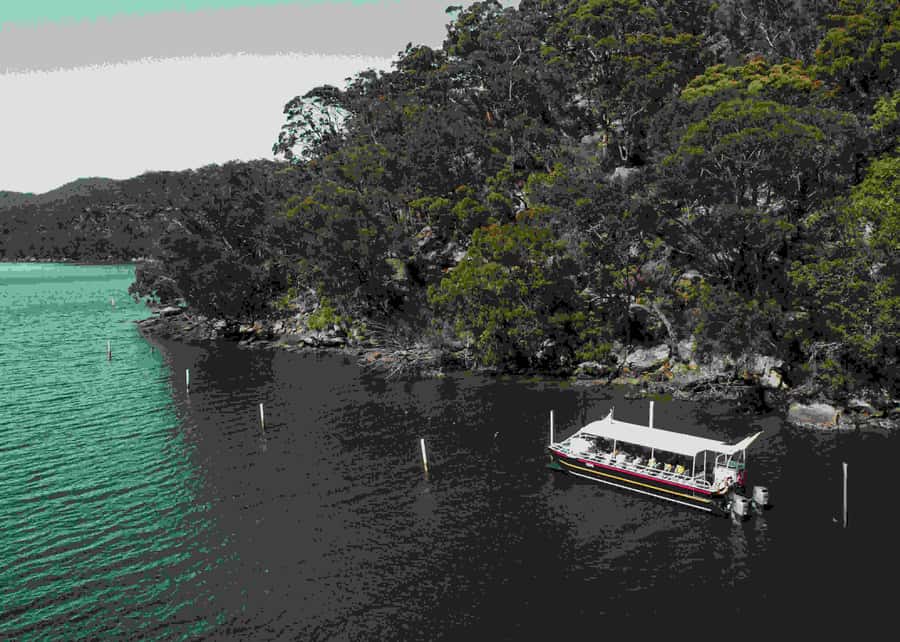 Pearl & Oyster Farm Hawkesbury River Cruise - Leaving Mooney Mooney for the saltwater paddocks