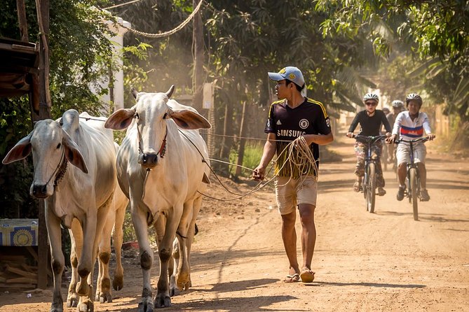 Phnom Penh: Cycling Adventure on Islands of the Mekong - Quiet roads through Cham Muslim communities