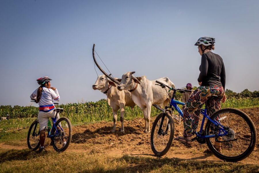 Phnom Penh: Mekong Islands & Silk Islands Guided Bike Tour - Who Will Enjoy This Ride Most?