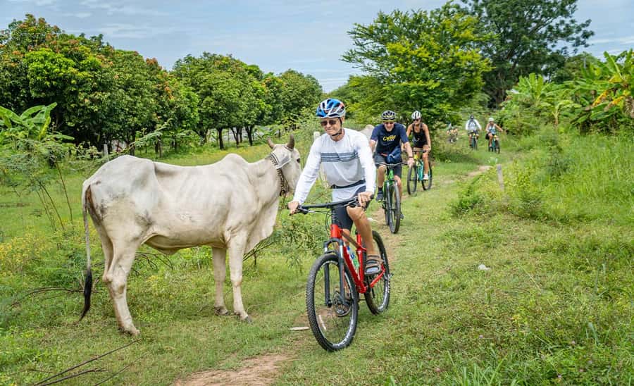 Phnom Penh: Mekong Islands Sunset Bike Tour include drinks - Who should book this ride